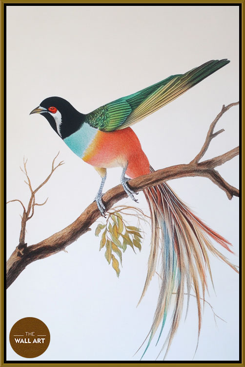 images/products/raindow_long_tail_bird/RAINDOW_LONG TAIL BIRD_GOLD.jpg